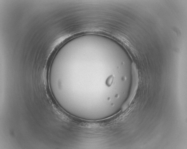 X0000116431030200912221501