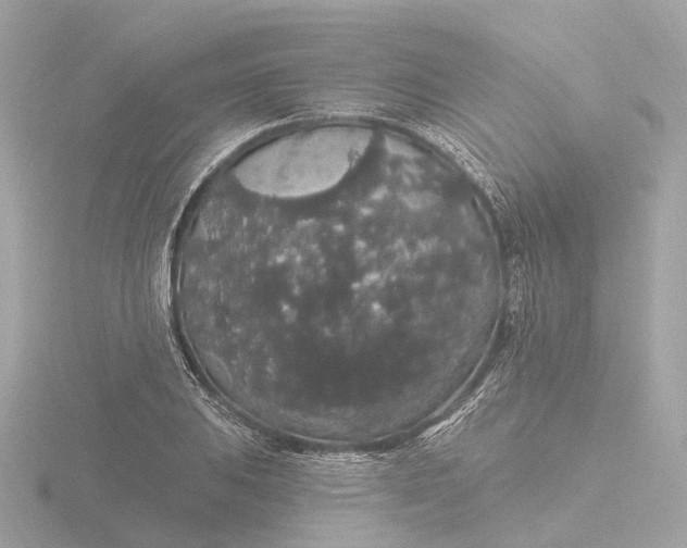 X0000116431031200912221501