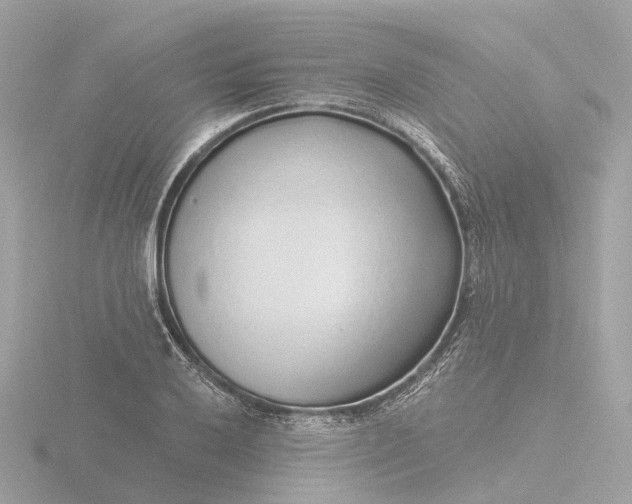 X0000116431032200912221501