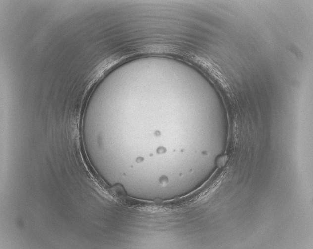 X0000116431033200912221501