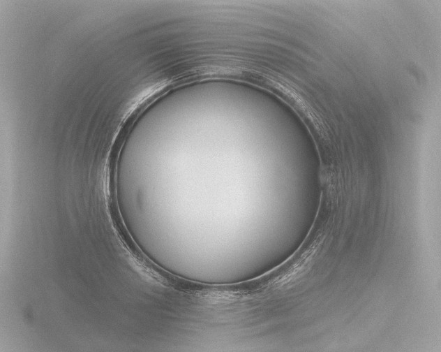 X0000116431034200912221501