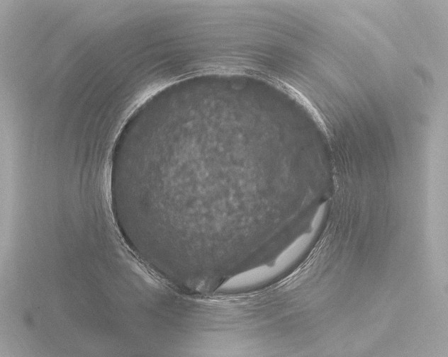 X0000116431035200912221501