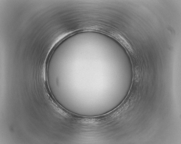 X0000116431036200912221501