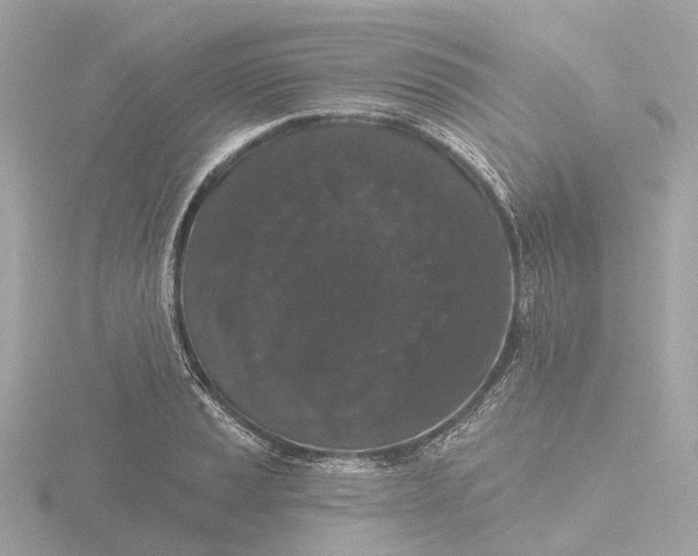 X0000116431037200912221501