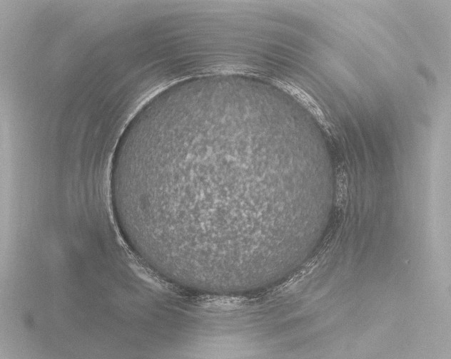 X0000116431039200912221501