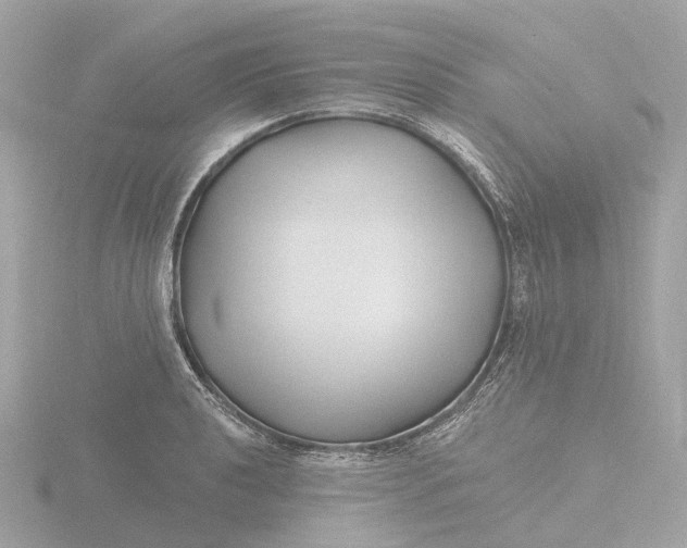 X0000116431040200912221501