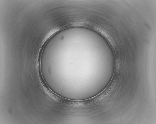 X0000116431042200912221501