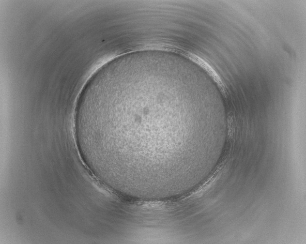 X0000116431043200912221501