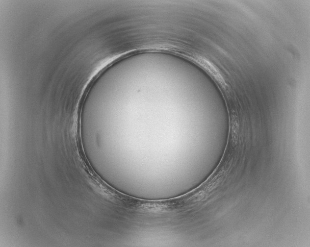 X0000116431044200912221501