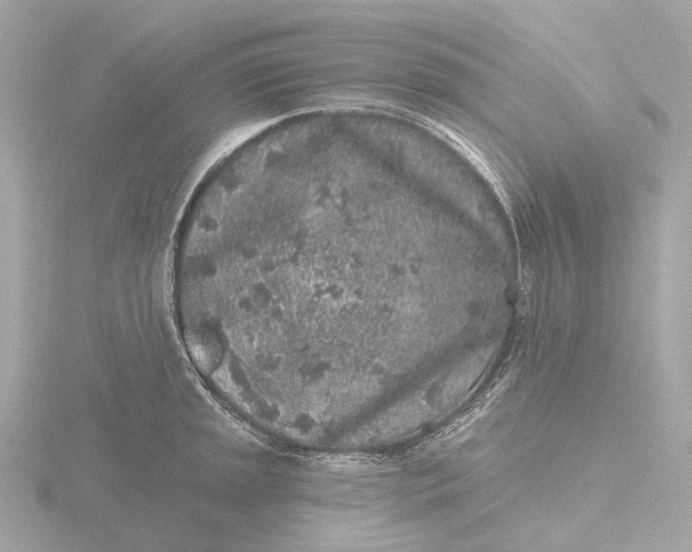 X0000116431045200912221501