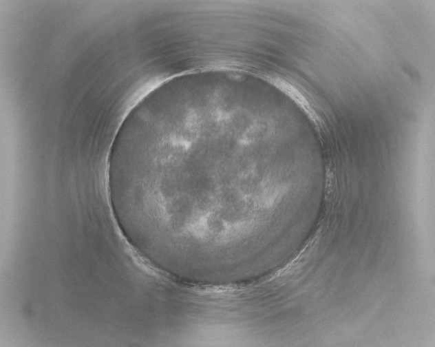 X0000116431047200912221501