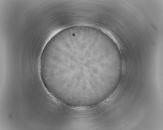 X0000116431048200912221501