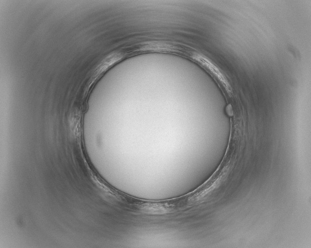 X0000116431049200912221501