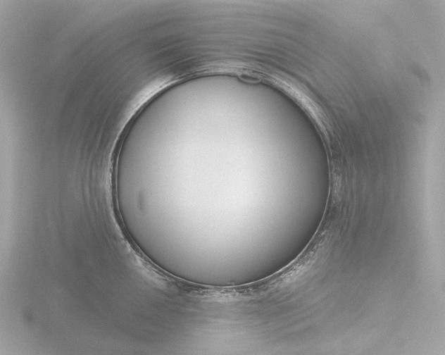 X0000116431050200912221501