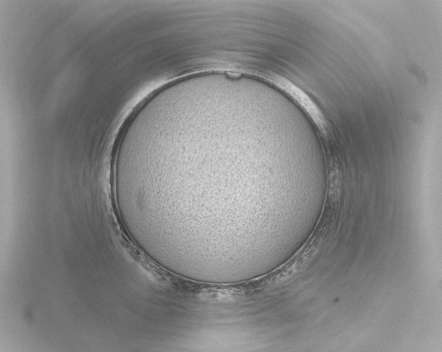 X0000116431051200912221501