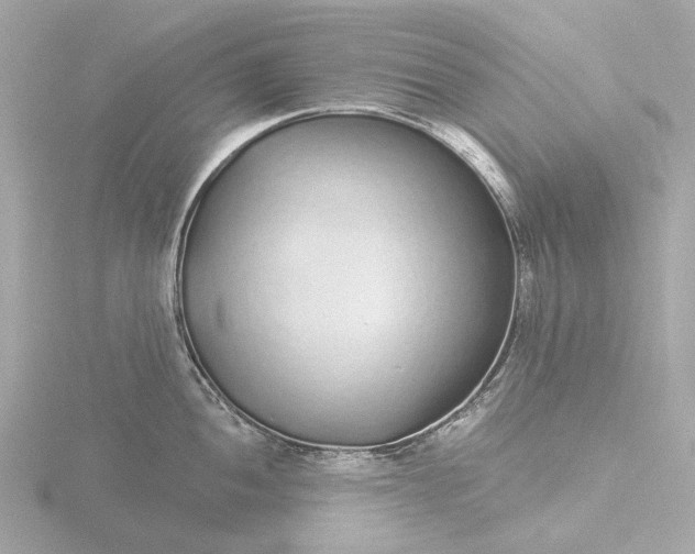 X0000116431052200912221501