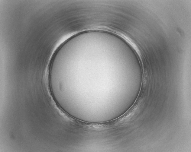 X0000116431053200912221501