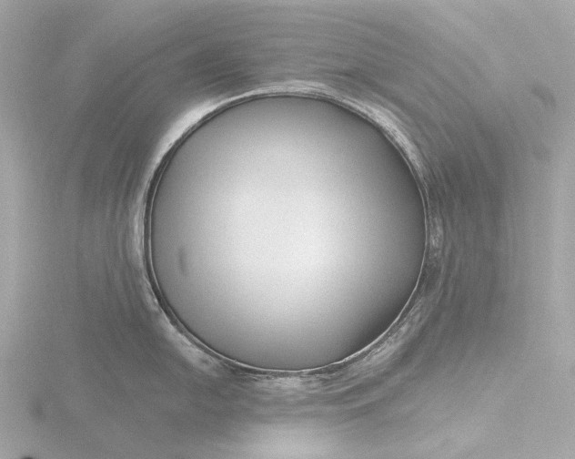 X0000116431054200912221501