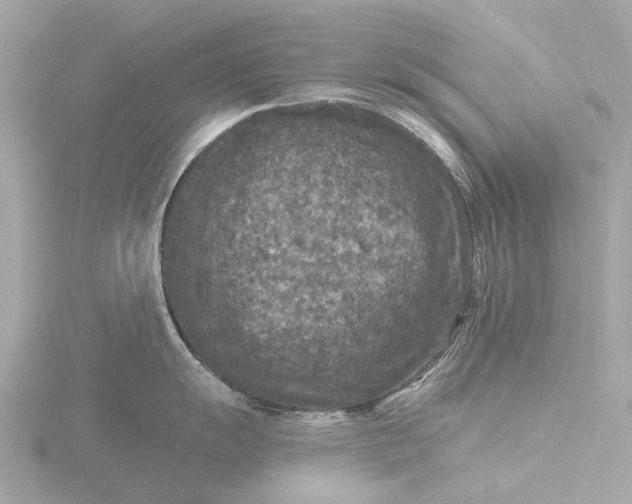 X0000116431055200912221501