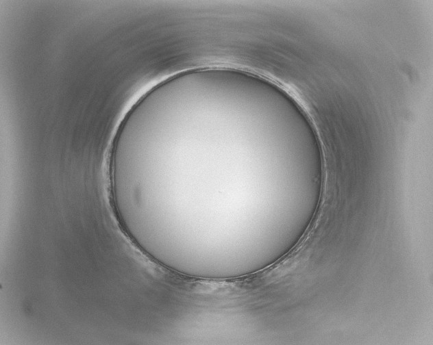 X0000116431056200912221501