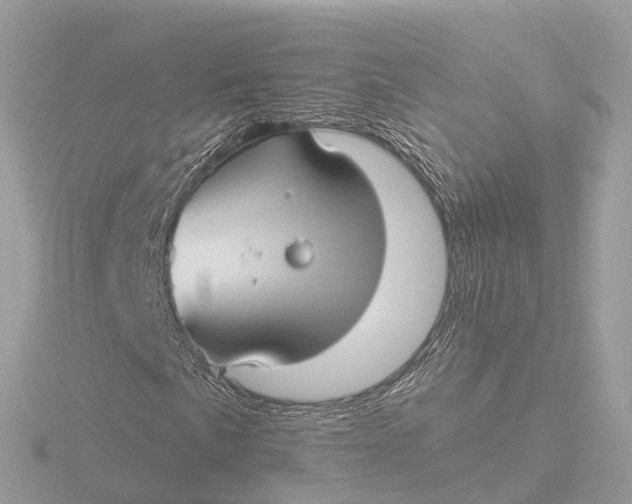 X0000116431057200912221501