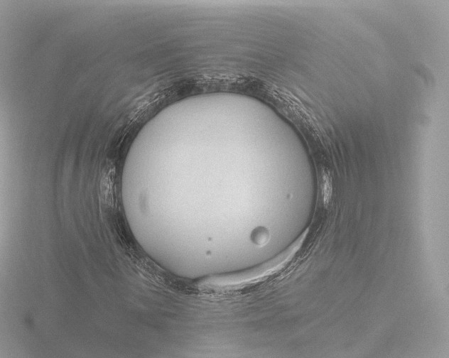 X0000116431059200912221500