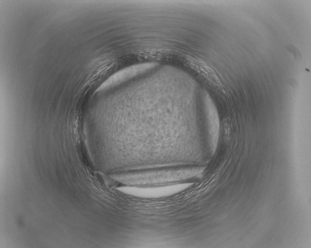 X0000116431060200912221500