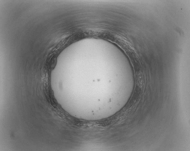 X0000116431061200912221500