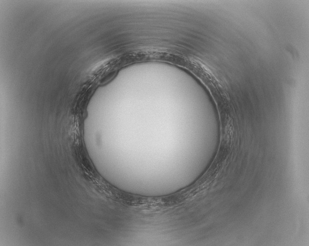 X0000116431062200912221500