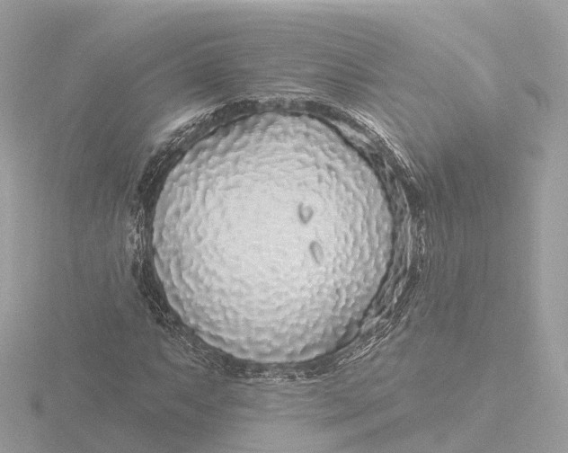 X0000116431063200912221500