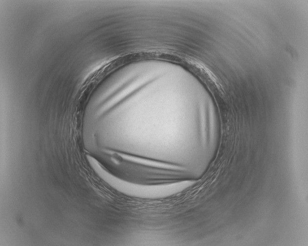 X0000116431064200912221500