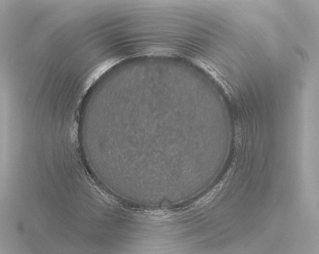 X0000116431066200912221500