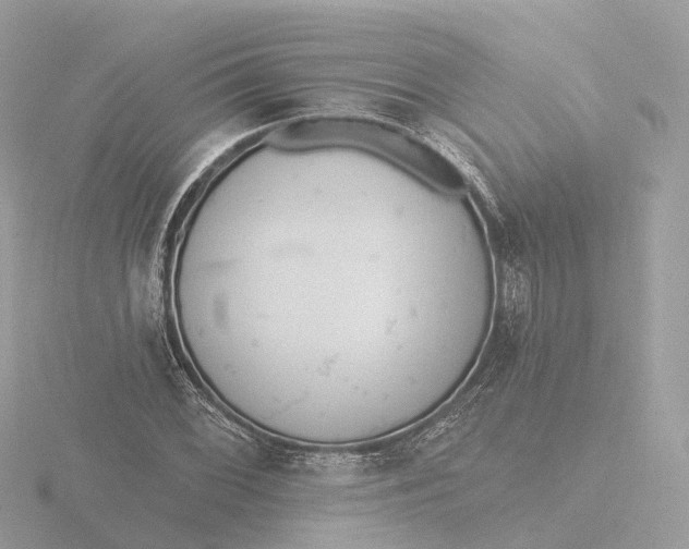 X0000116431068200912221500