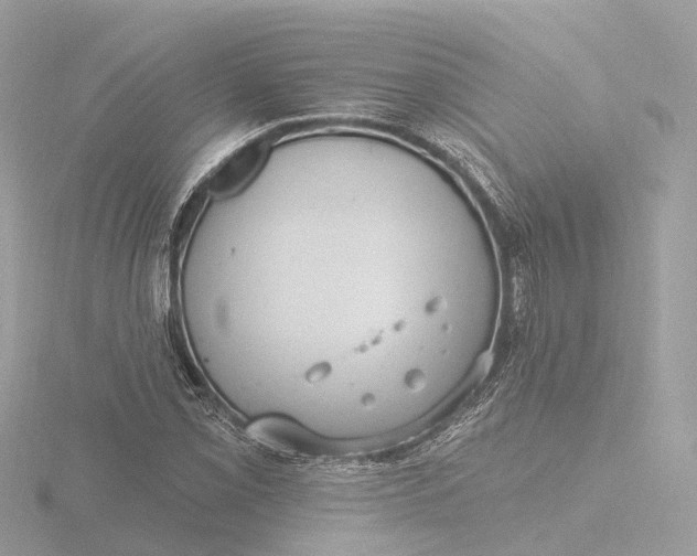 X0000116431069200912221500