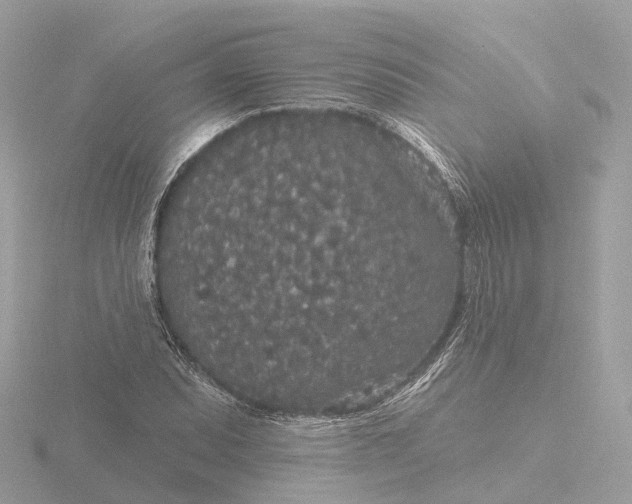 X0000116431071200912221500