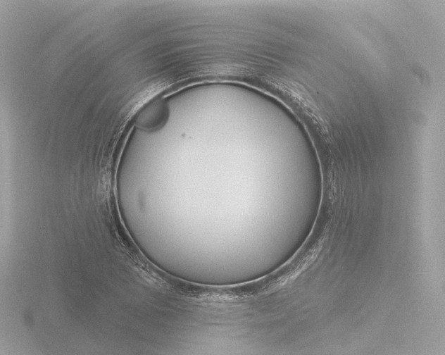 X0000116431073200912221500