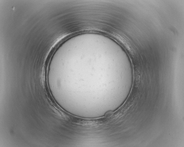 X0000116431076200912221500