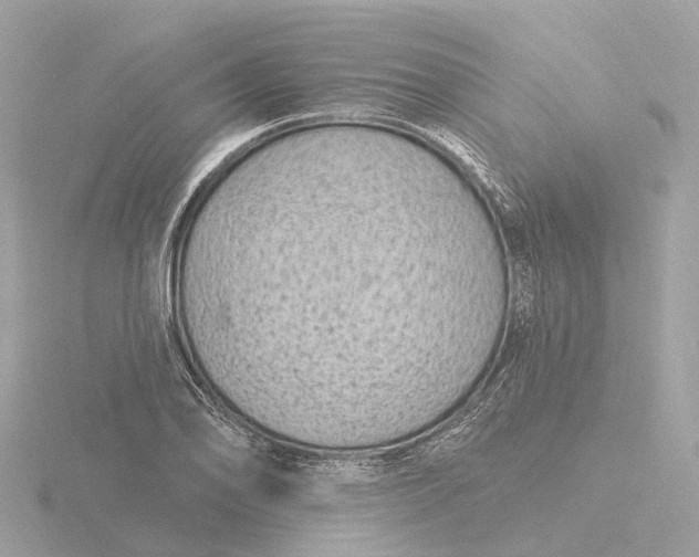 X0000116431078200912221500