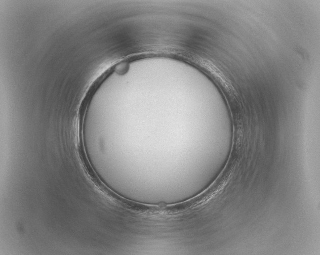 X0000116431079200912221500