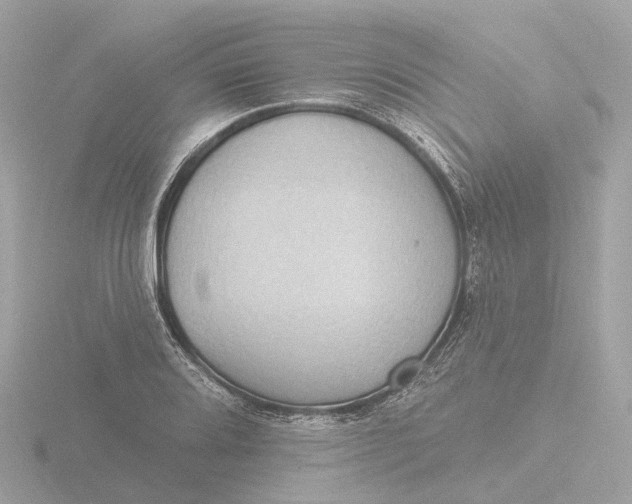 X0000116431080200912221500