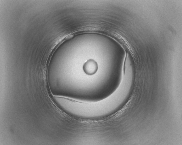 X0000116431081200912221500