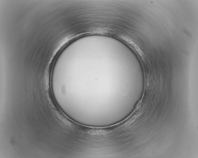 X0000116431083200912221500