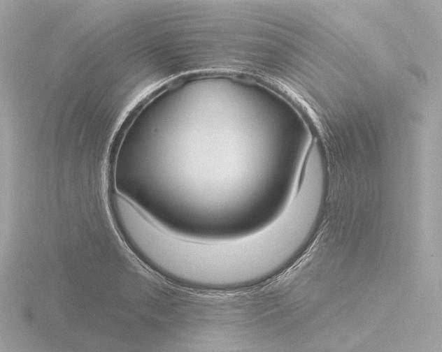 X0000116431085200912221500