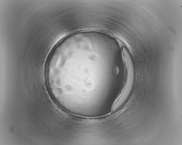 X0000116431087200912221500