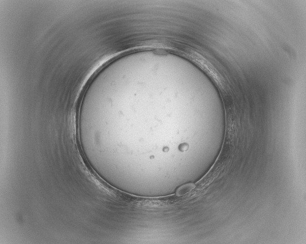 X0000116431092200912221500