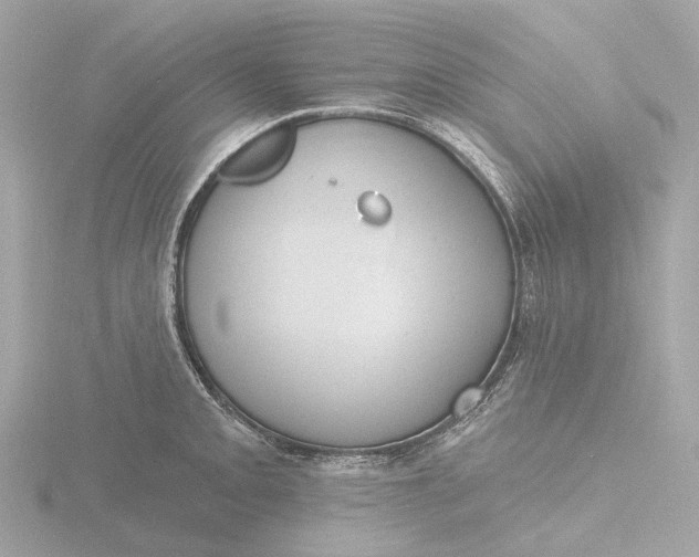 X0000116431093200912221500