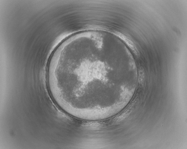 X0000116431094200912221500