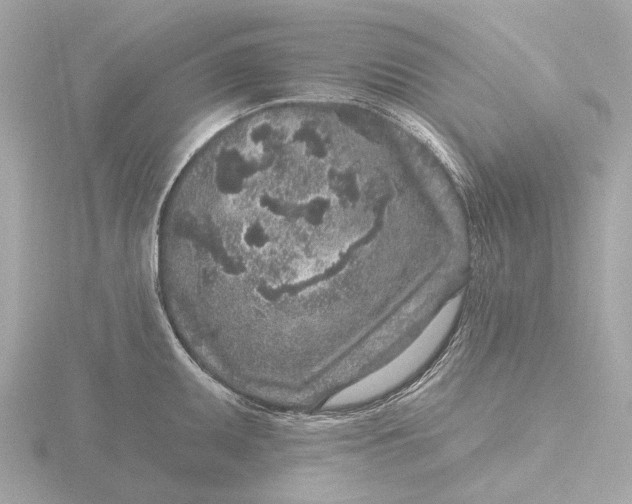 X0000116431095200912221500