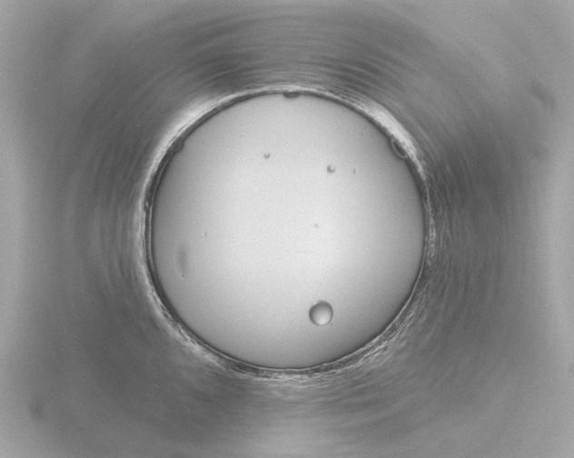 X0000116431096200912221500