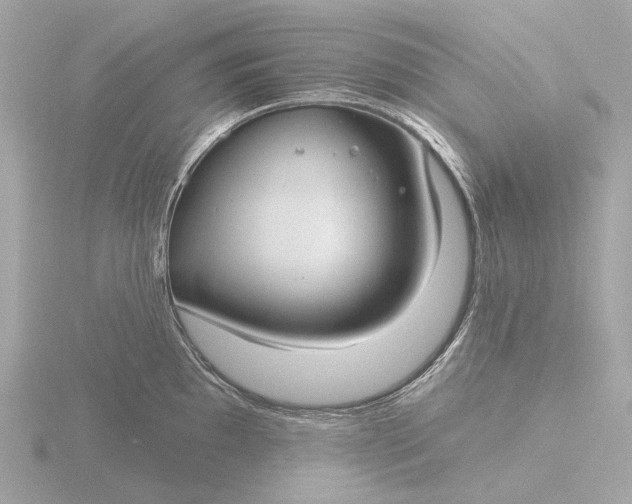 X0000116431097200912221500